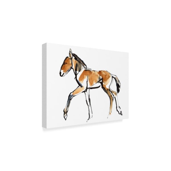 Mark Adlington 'Colt Przewalski' Canvas Art,35x47